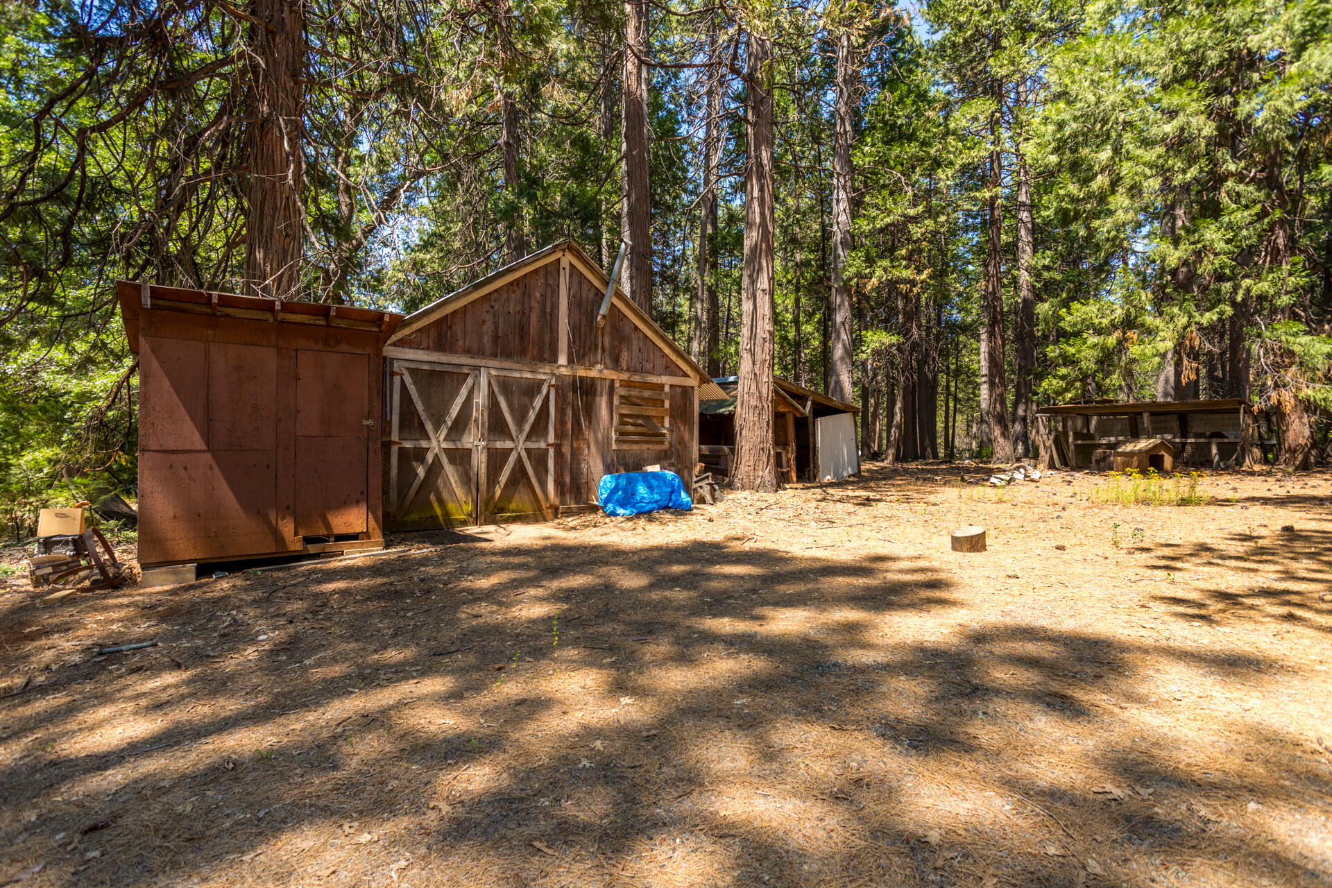 30457 Shingletown Ridge Road Shingletown, CA 96088 - Photo 9 of 20 Barn