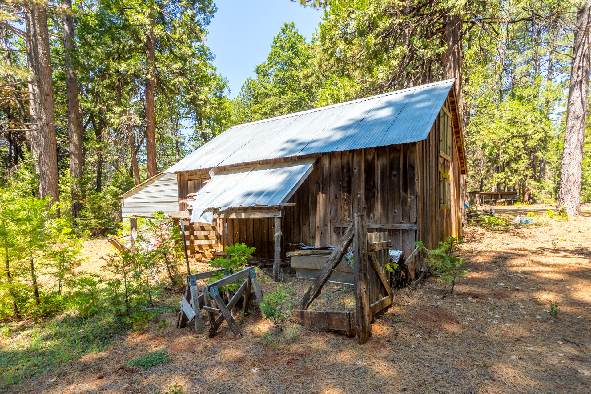 30457 Shingletown Ridge Road Shingletown, CA 96088 - Photo 10 of 20 Barn