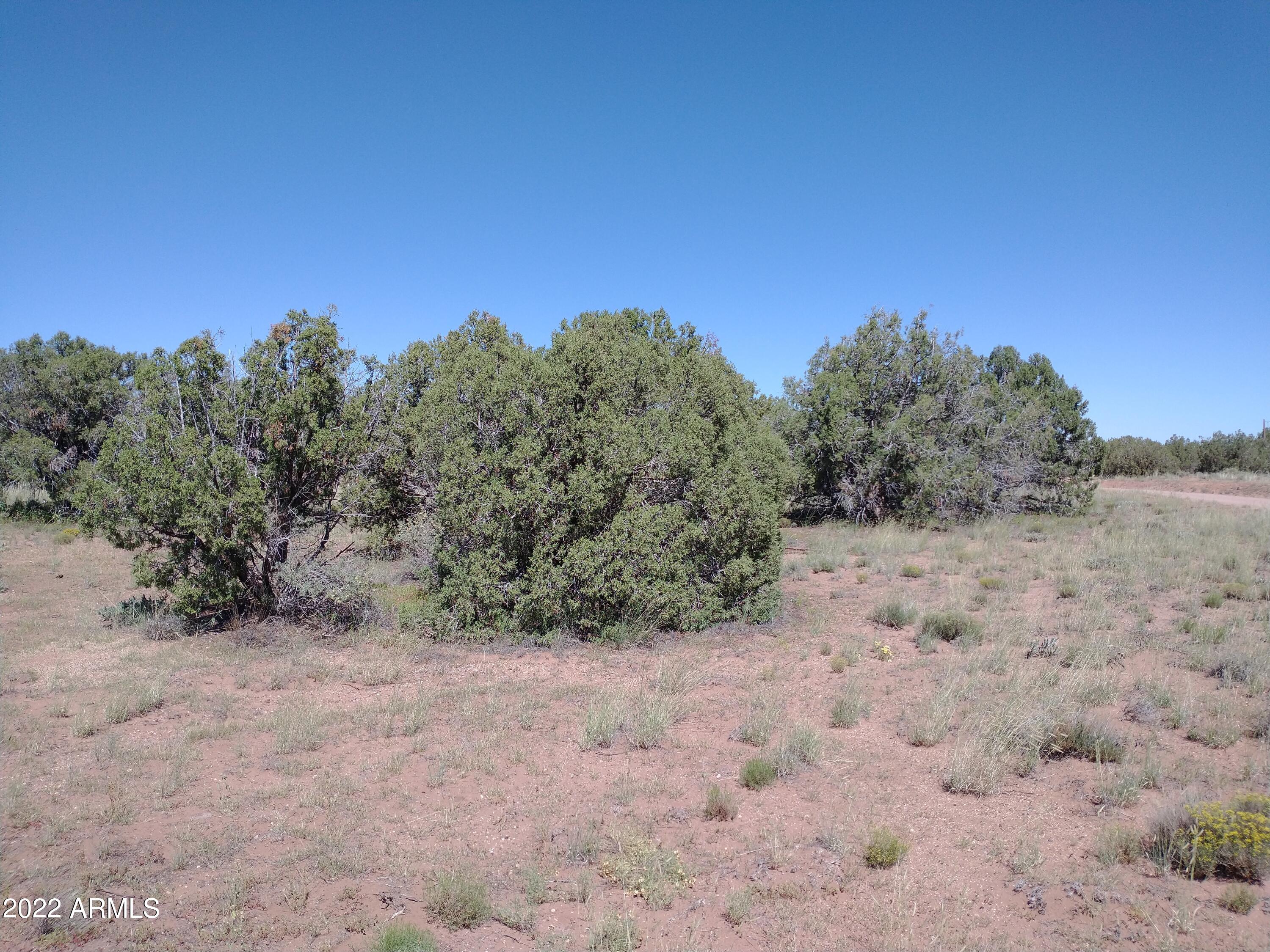 4312 East Pinto Road, Unit 49 Snowflake, AZ 85937 - Photo 1 of 12 IMG_20220917_110856923
