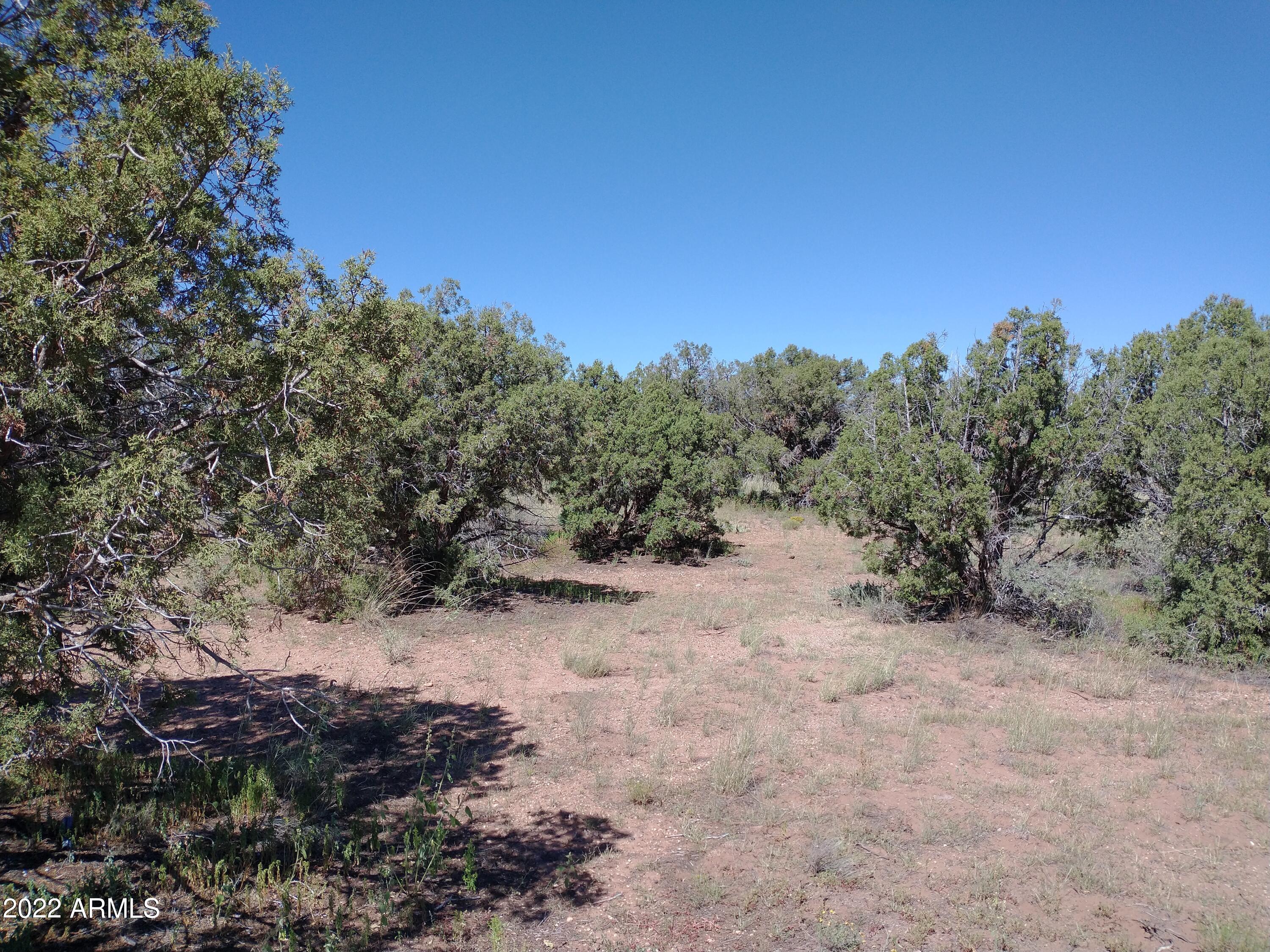 4312 East Pinto Road, Unit 49 Snowflake, AZ 85937 - Photo 2 of 12 IMG_20220917_110854426