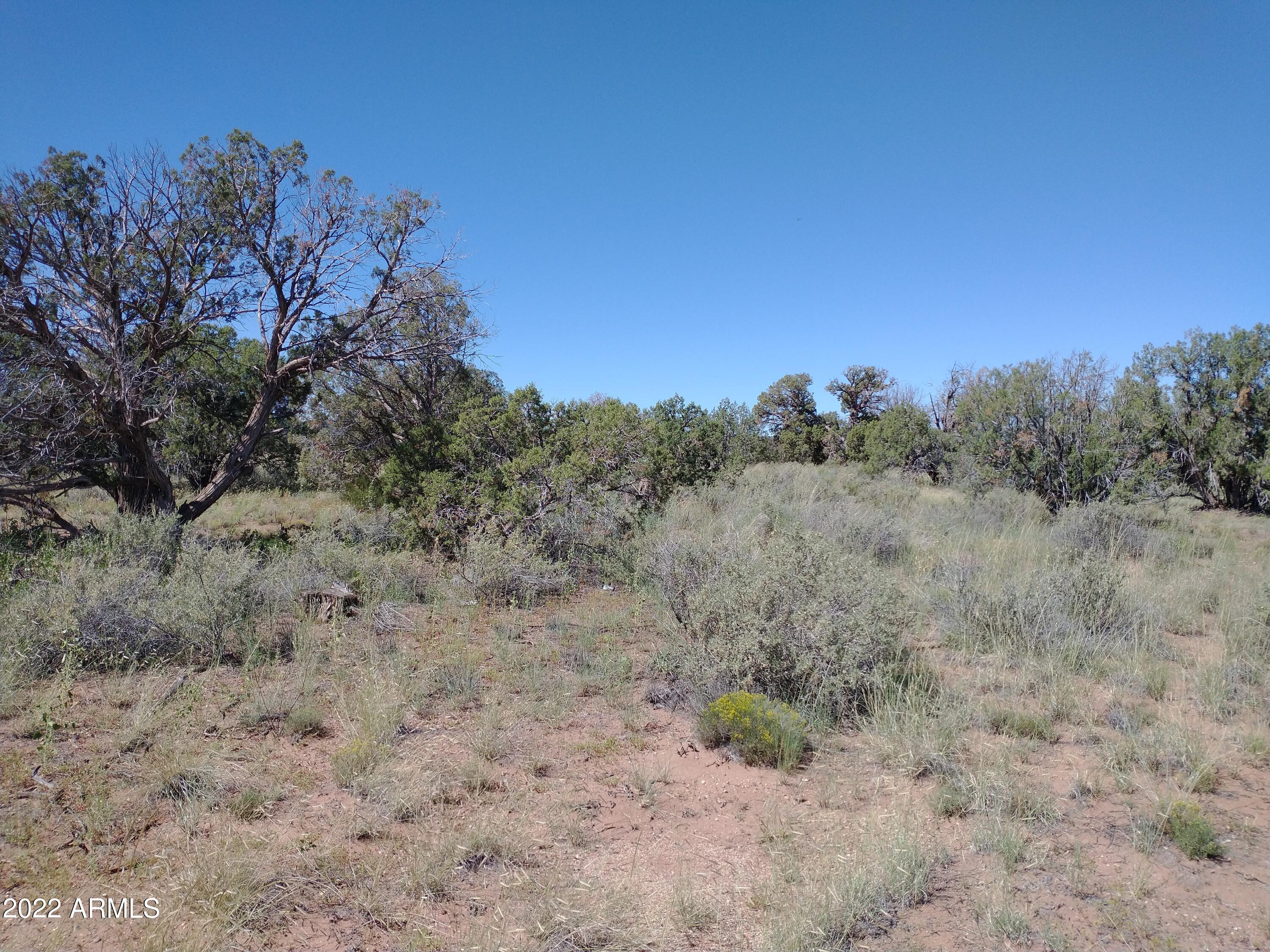 4312 East Pinto Road, Unit 49 Snowflake, AZ 85937 - Photo 3 of 12 IMG_20220917_110919214