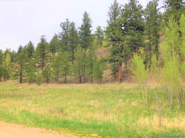 222 Gross Road Bailey, CO 80421 - Photo 11 of 11 Gallery Image 11