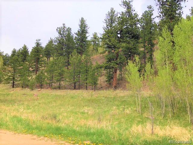 222 Gross Road Bailey, CO 80421 - Photo 2 of 11 Gallery Image 2