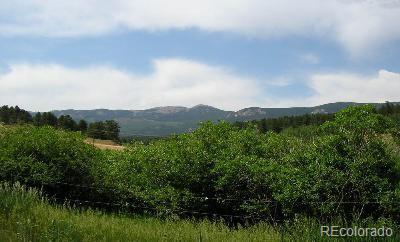 222 Gross Road Bailey, CO 80421 - Photo 5 of 11 Gallery Image 5