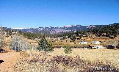 222 Gross Road Bailey, CO 80421 - Photo 8 of 11 Gallery Image 8