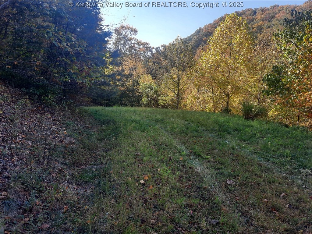 0 Chappell Road Charleston, WV 25304 - Photo 2 of 21 Gallery Image 2
