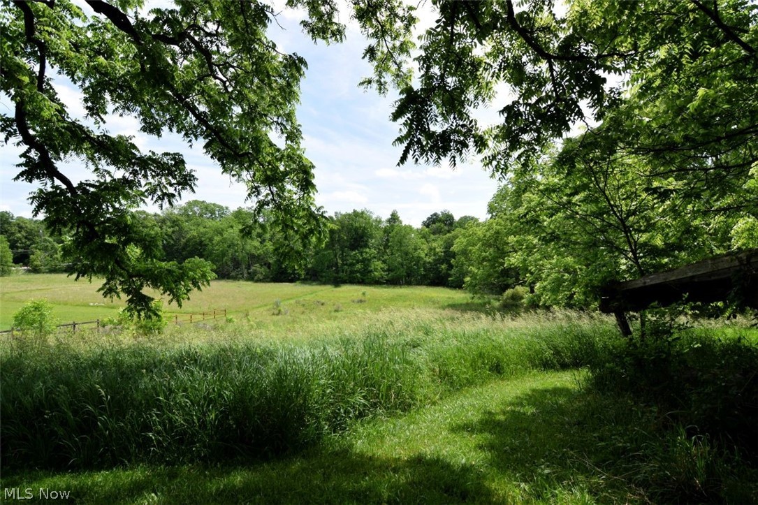 7251 Ryan Road Medina, OH 44256 - Photo 41 of 47