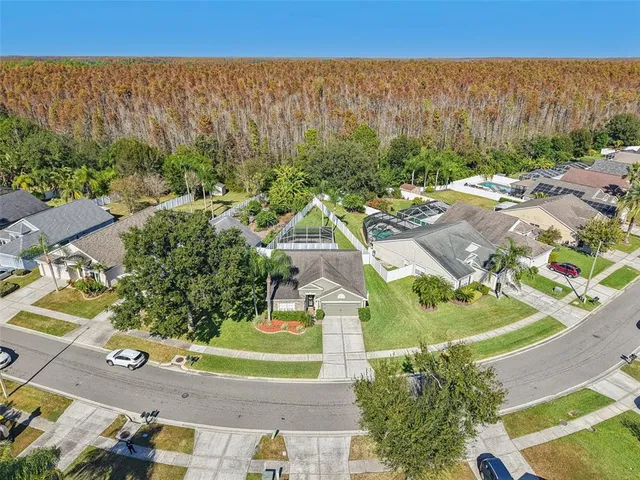 an aerial view of residential building and tree