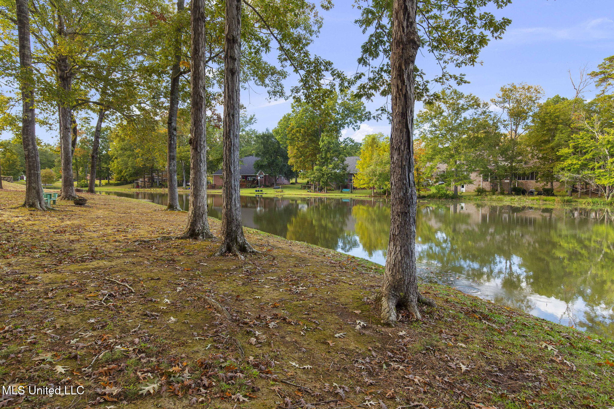 103 Pimlico Drive Brandon, MS 39042 - Photo 67 of 87 83-web-or-mls-103 Pimlico-77