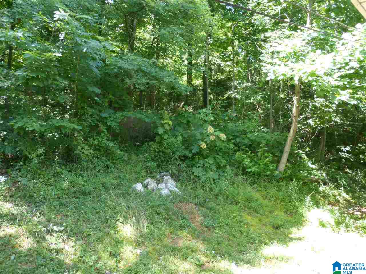 4470 Spring Creek Road Montevallo, AL 35115 - Photo 27 of 33 Gallery Image 27
