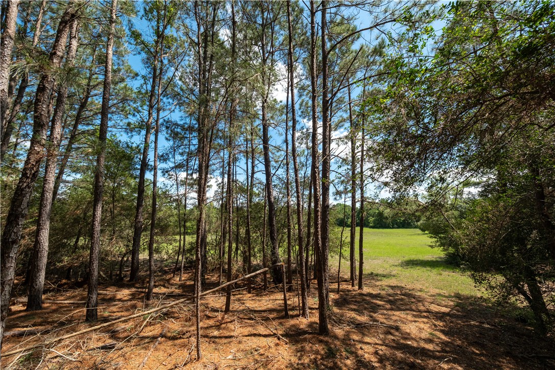2199 Navasota Ridge Navasota, TX 77868 - Photo 17 of 30