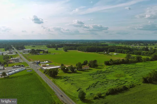a view of a big yard with lots of green space