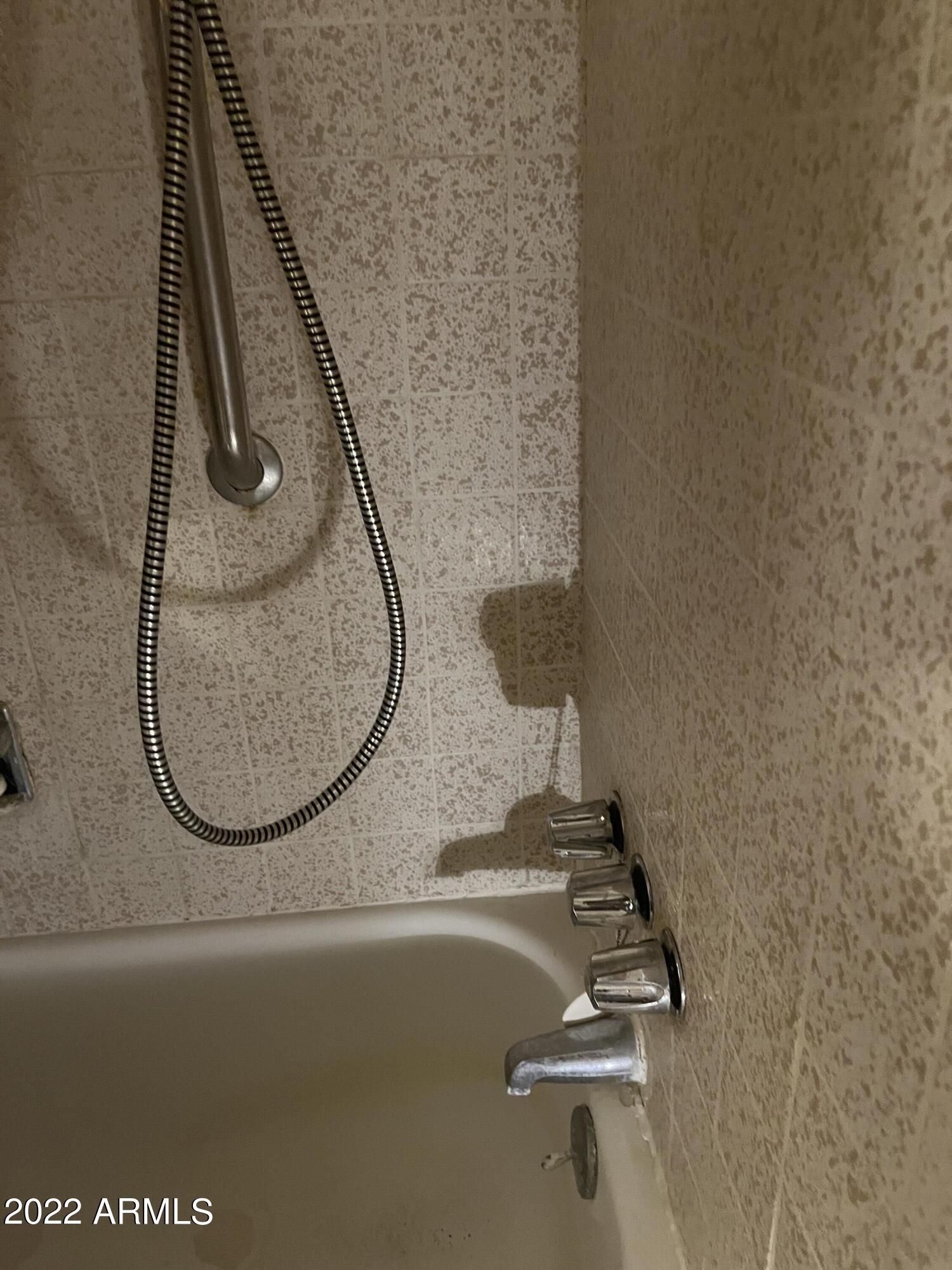 3840 West Whitewater School Road Elfrida, AZ 85610 - Photo 18 of 42 hall bath
