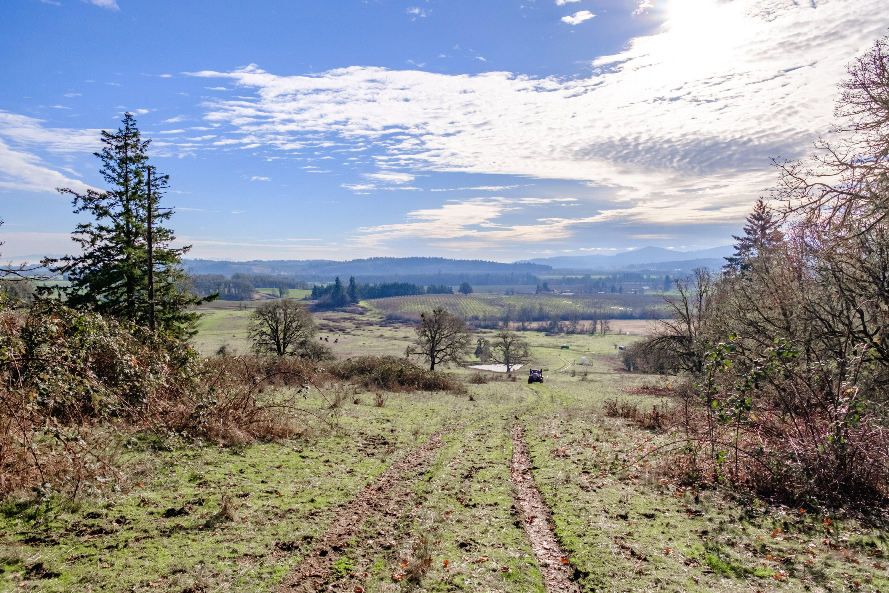 Airlie Road Monmouth, OR 97361 - Photo 24 of 34 Gallery Image 24