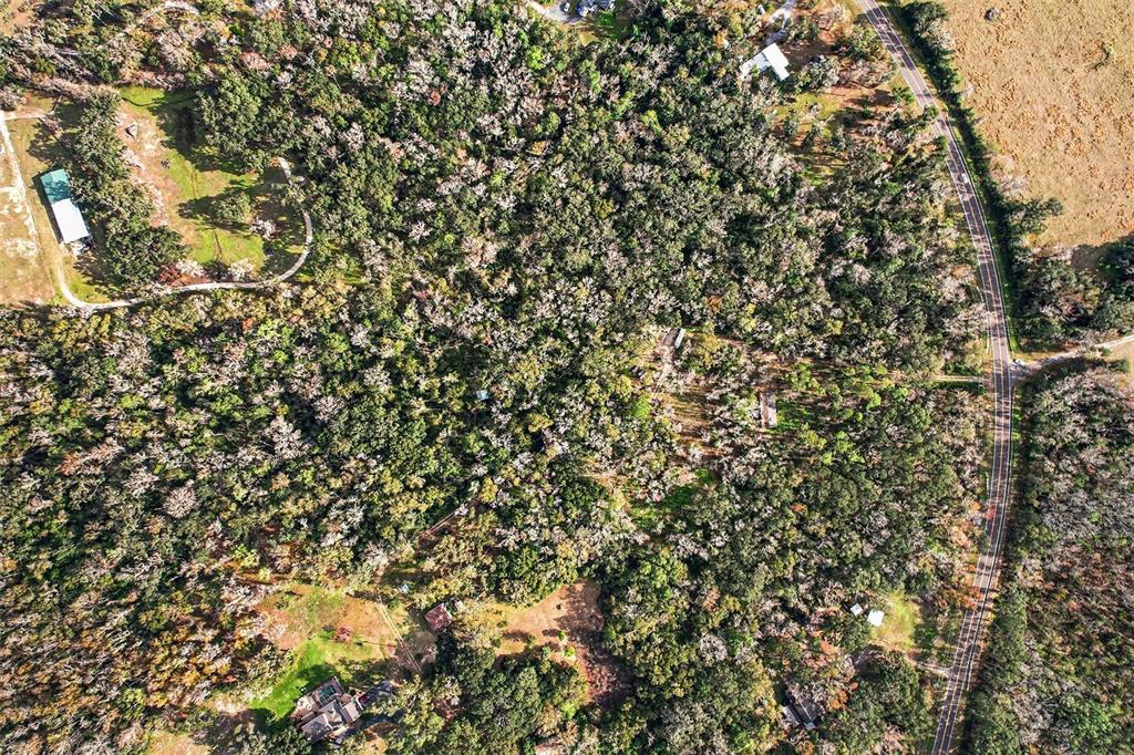 St Joe Road Dade City, FL 33523 - Photo 3 of 9 a view of a tree