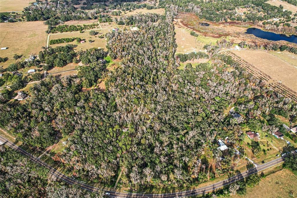 St Joe Road Dade City, FL 33523 - Photo 7 of 9 a view of a yard with a tree