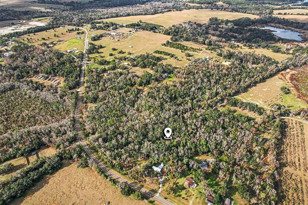 St Joe Road Dade City, FL 33523 - Photo 9 of 9 a view of a yard with a tree