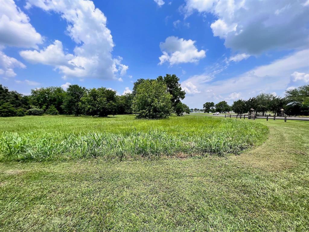Lot 1 South R S Point Drive Streetman, TX 75859 - Photo 2 of 14 a view of a garden with a building in the background