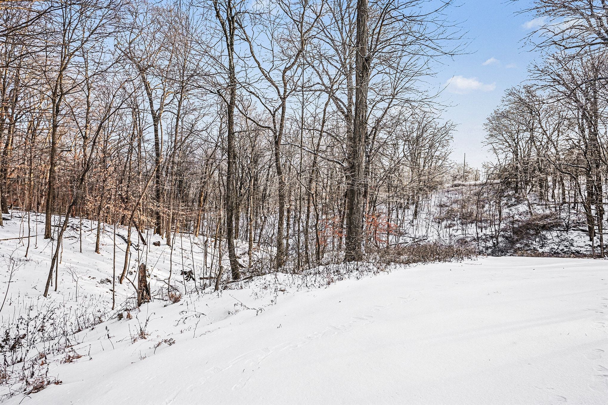 2397 Davidson Graveyard Road Clarksville, TN 37043 - Photo 25 of 28