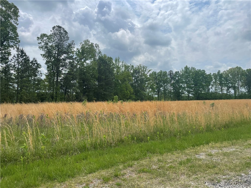 17808 Depot Road McKenney, VA 23872 - Photo 4 of 4 a view of mountain with lake view