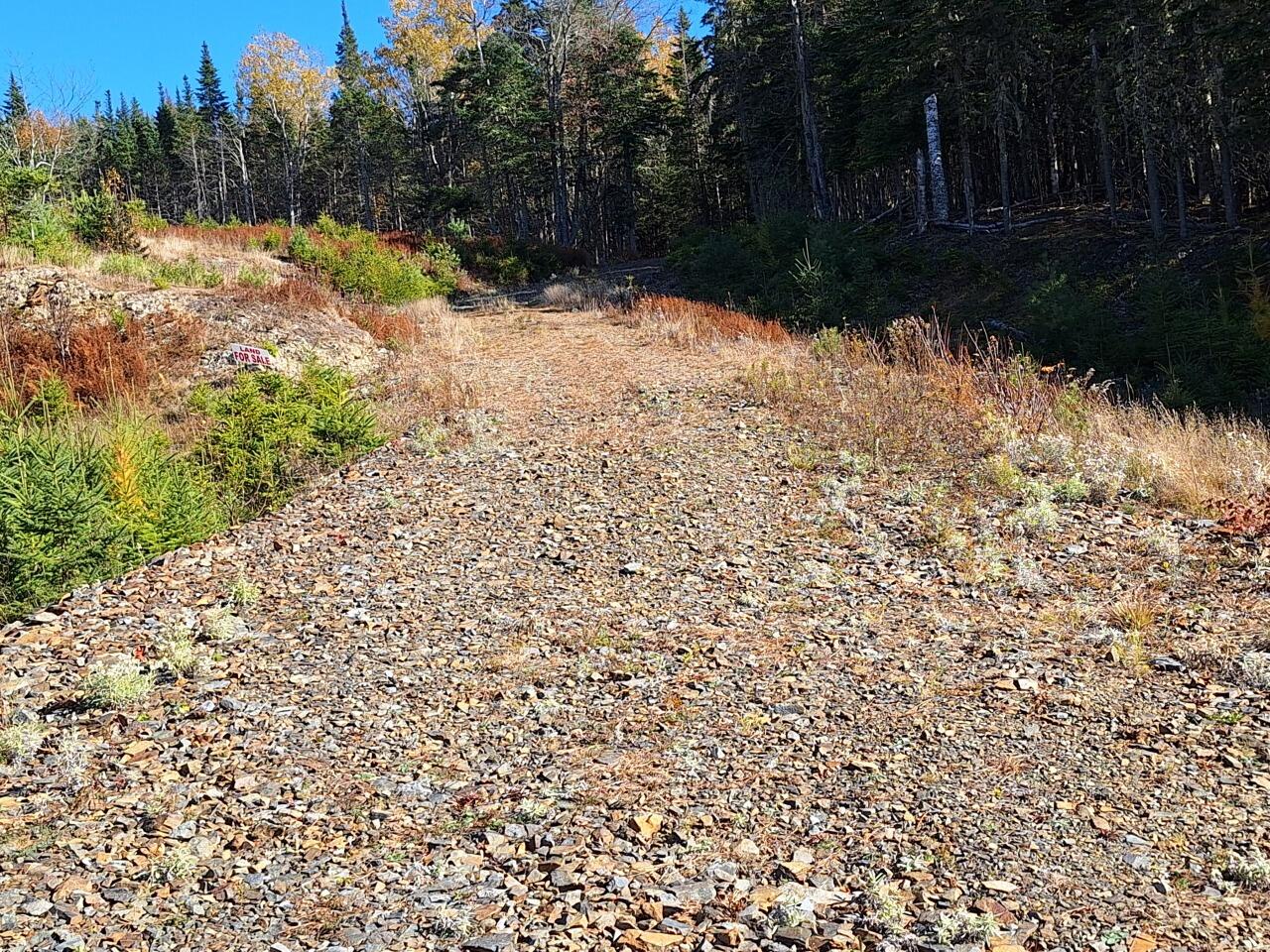 Lot #9 Wheeler Road, Unit 9 Rangeley, ME 04970 - Photo 5 of 10 begining of driveway