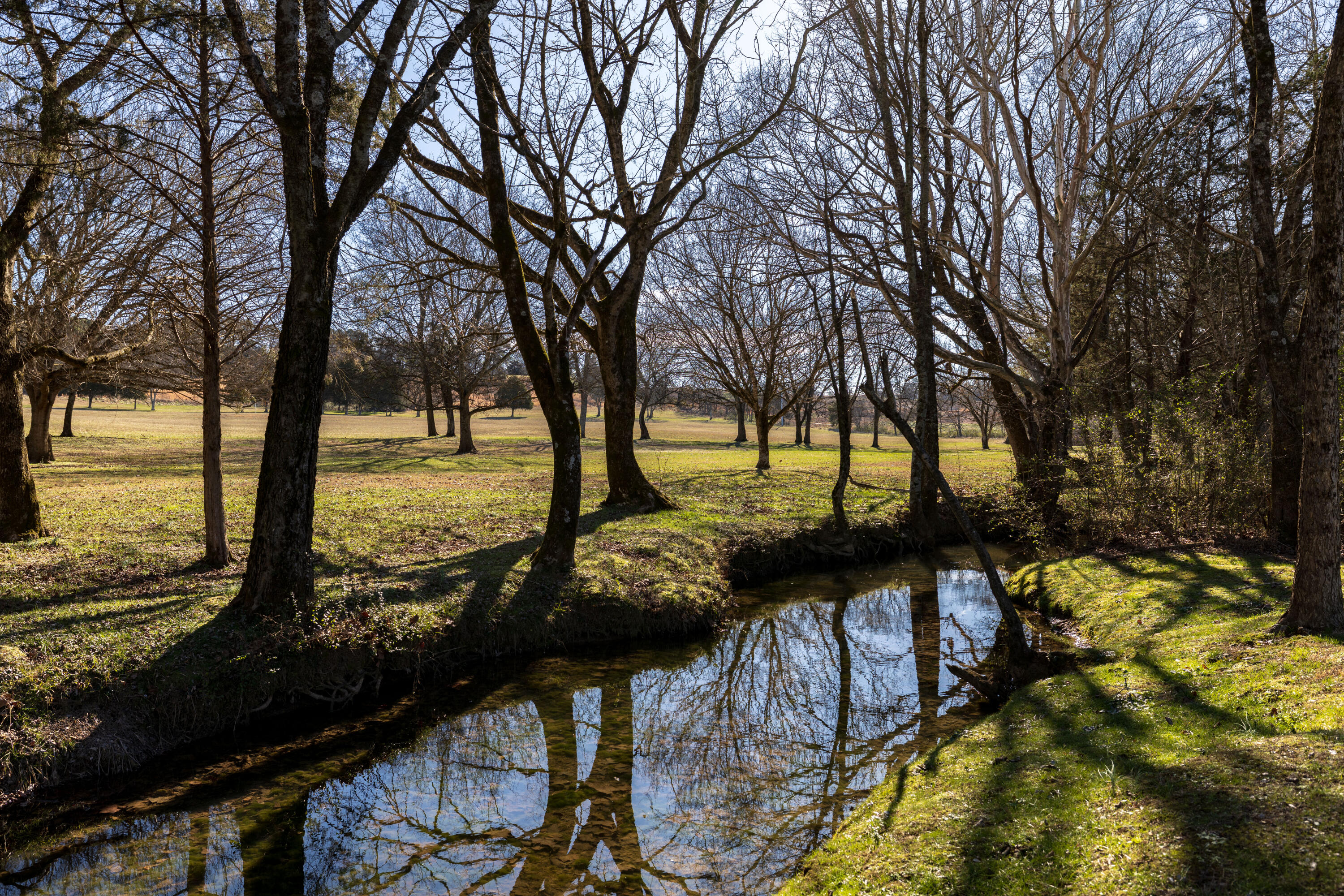 4410 Michigan Ave Road Northeast Cleveland, TN 37323 - Photo 4 of 29 EXT 2