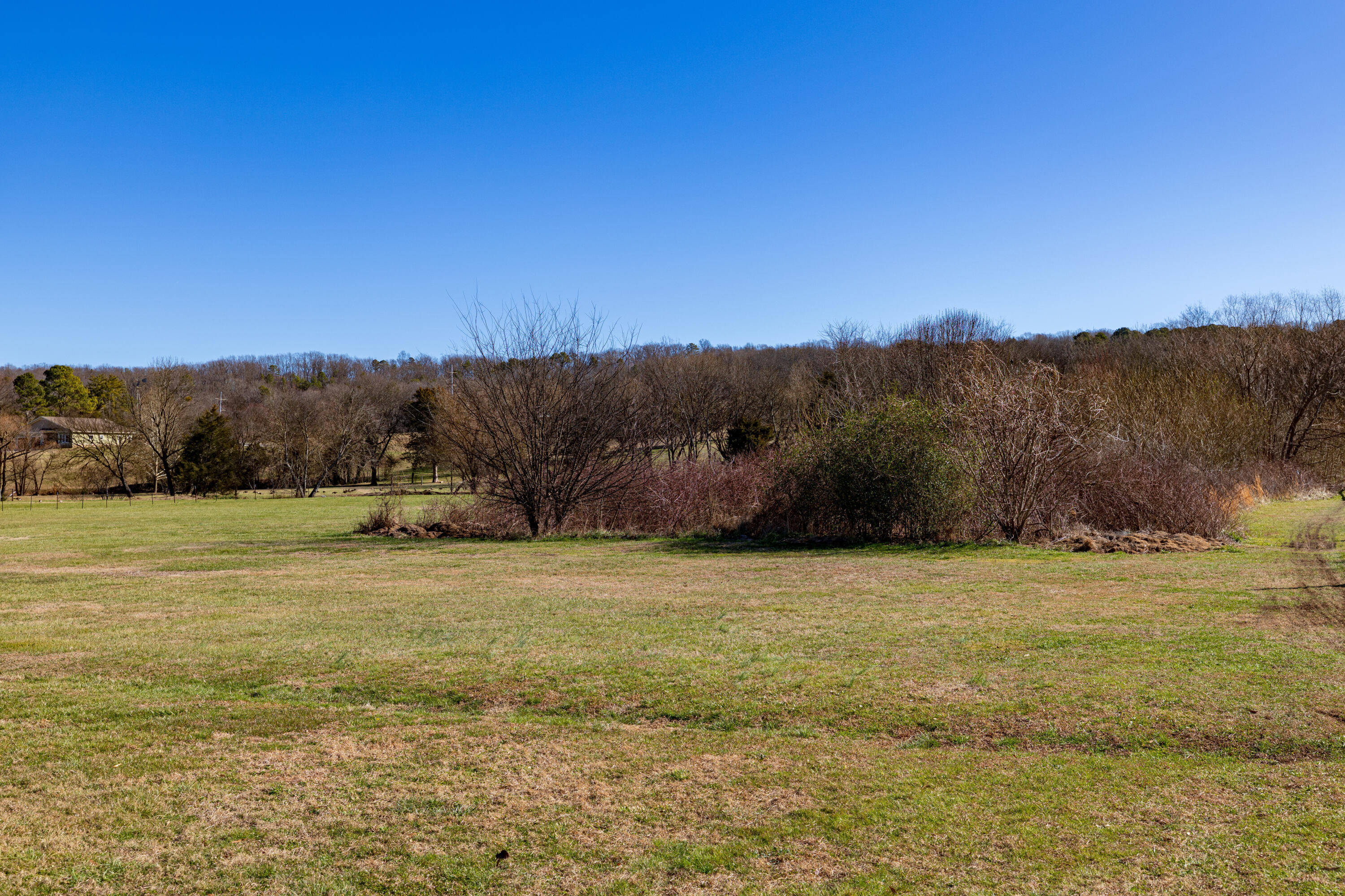 4410 Michigan Ave Road Northeast Cleveland, TN 37323 - Photo 5 of 29 EXT 5