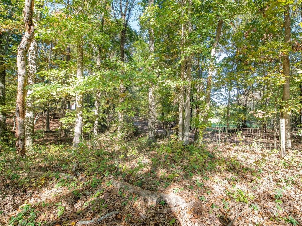 128 Altan Ridge Drive Monroe, NC 28112 - Photo 33 of 42 a view of a yard with plants and large trees