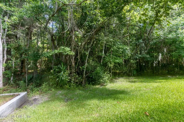a view of a backyard with large trees and plants