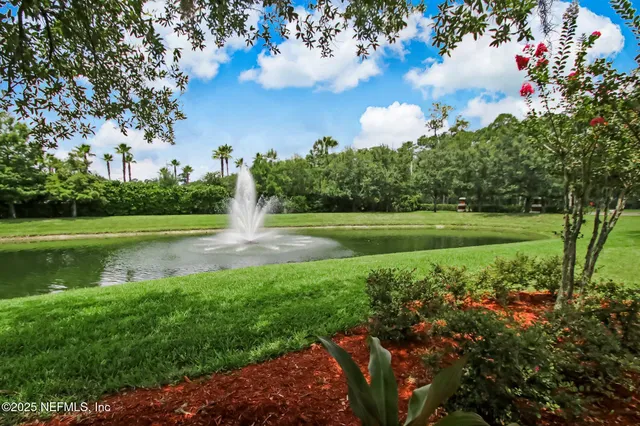 a view of a park with large trees
