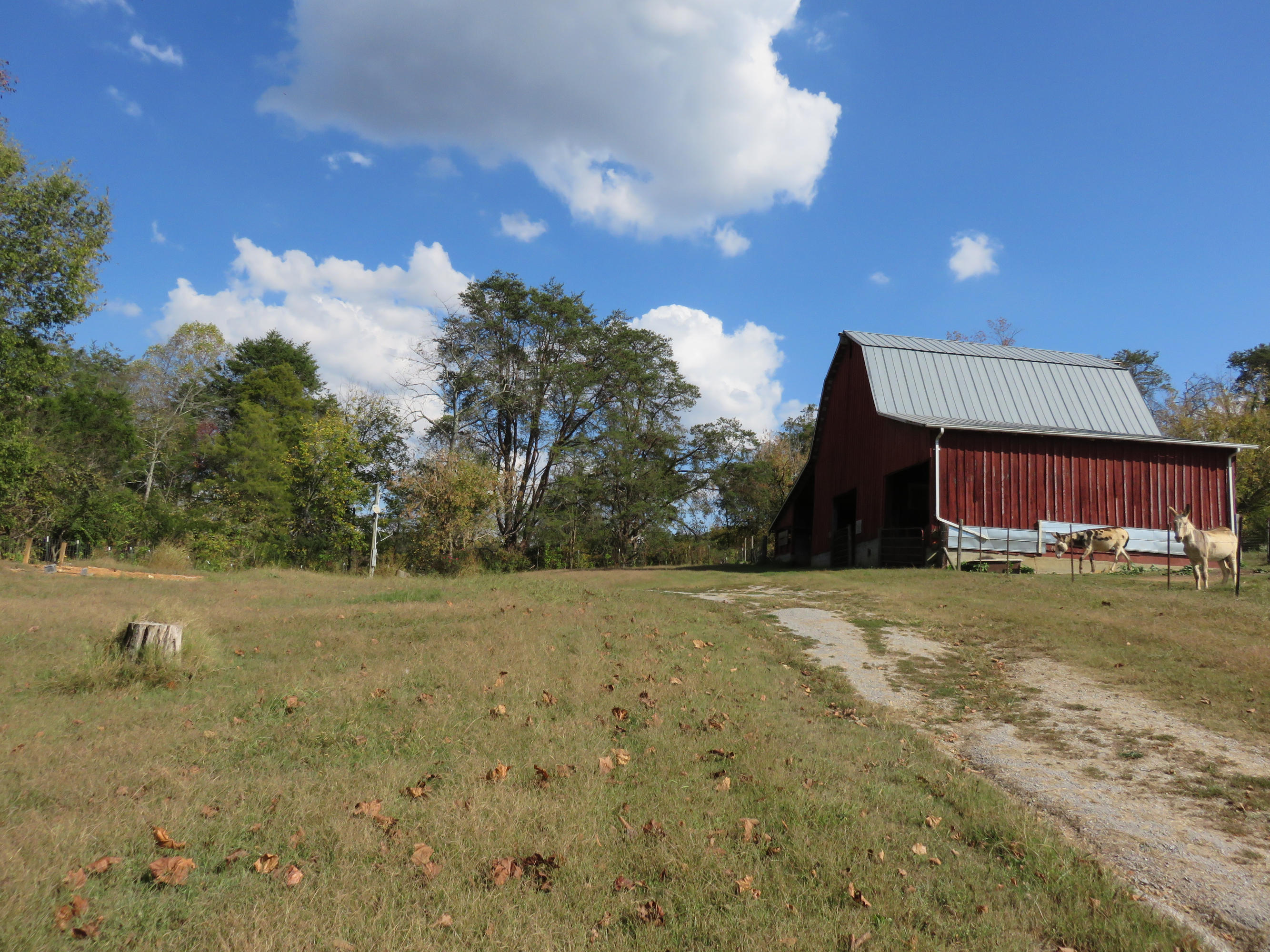 2445 Mine Road Mascot, TN 37806 - Photo 2 of 10 IMG_0912