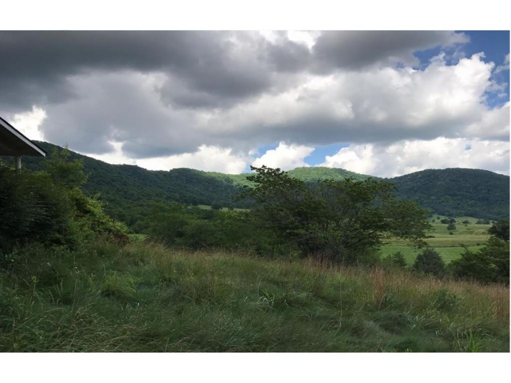 4533 Kane Gap Road Duffield, VA 24244 - Photo 14 of 16 Photo 14