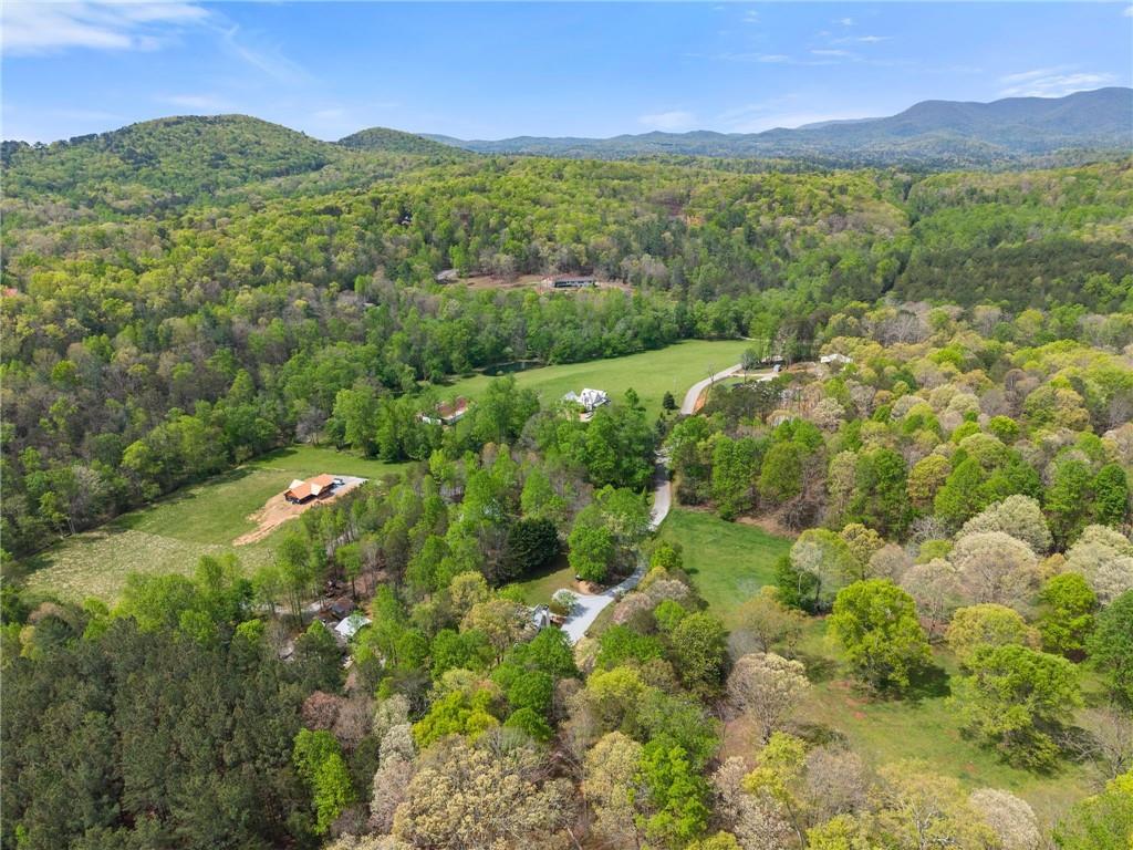 656 Stanley Nix Road Cleveland, GA 30528 - Photo 31 of 66