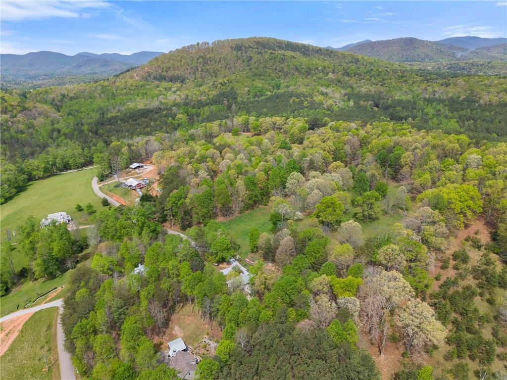 656 Stanley Nix Road Cleveland, GA 30528 - Photo 43 of 66