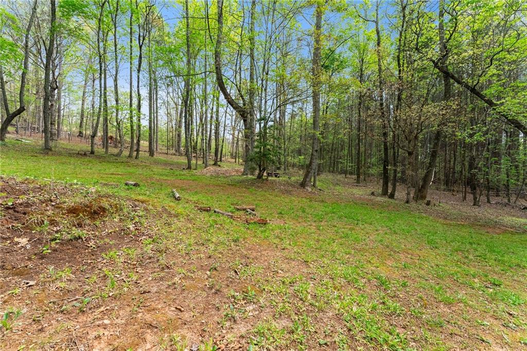 656 Stanley Nix Road Cleveland, GA 30528 - Photo 58 of 66