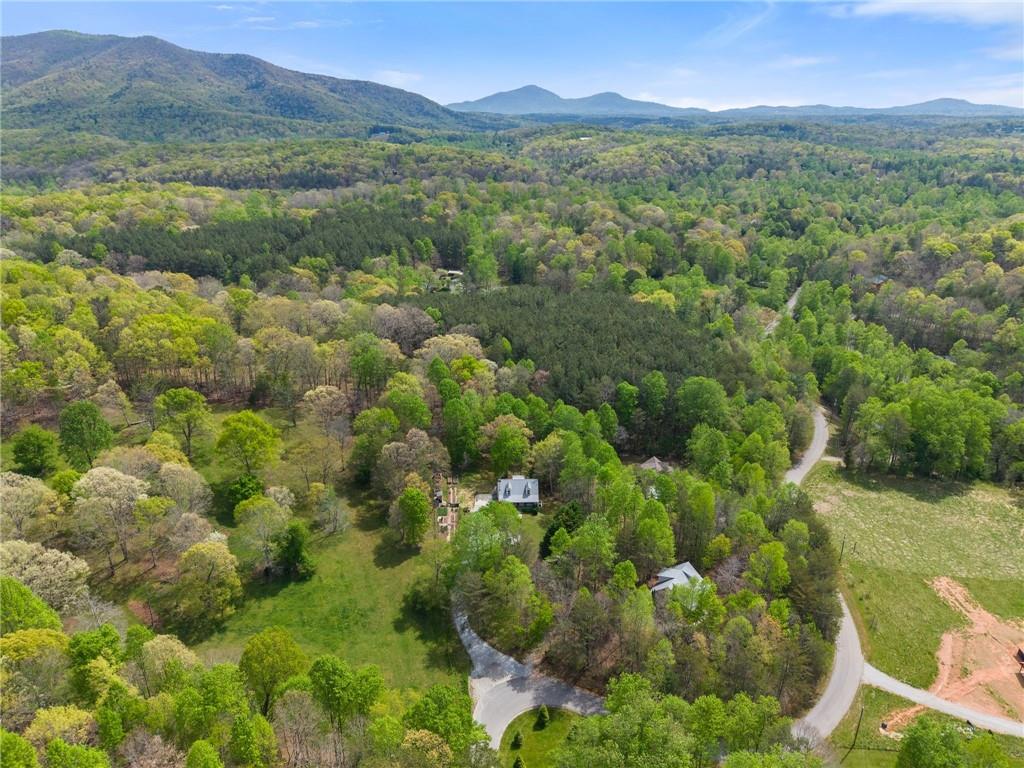 656 Stanley Nix Road Cleveland, GA 30528 - Photo 6 of 66