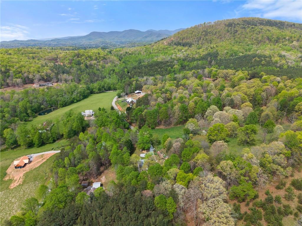 656 Stanley Nix Road Cleveland, GA 30528 - Photo 65 of 66