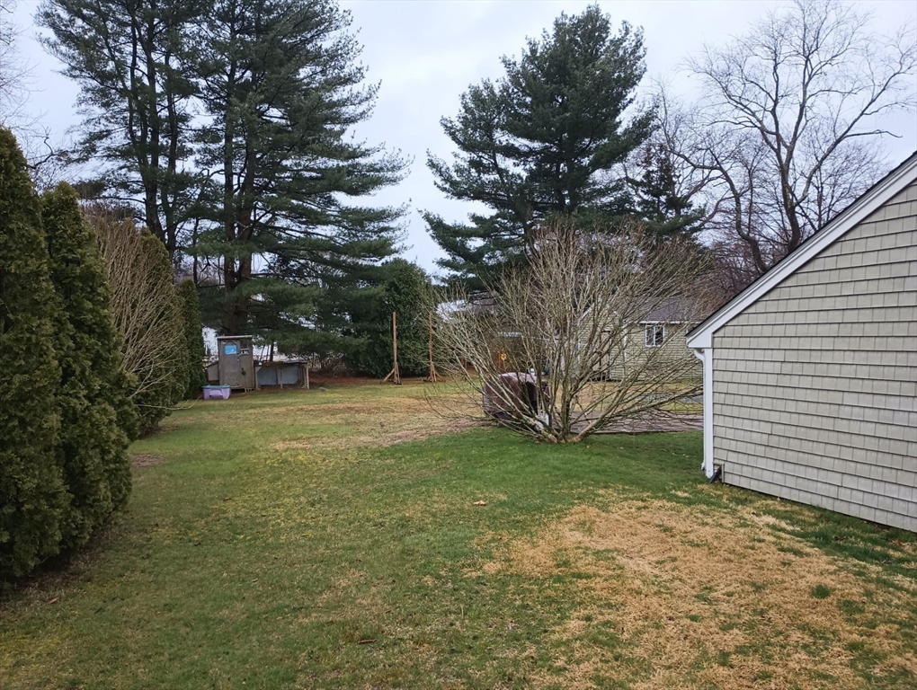 616 County Road Barrington, RI 02806 - Photo 7 of 32 a view of a yard with plants and trees