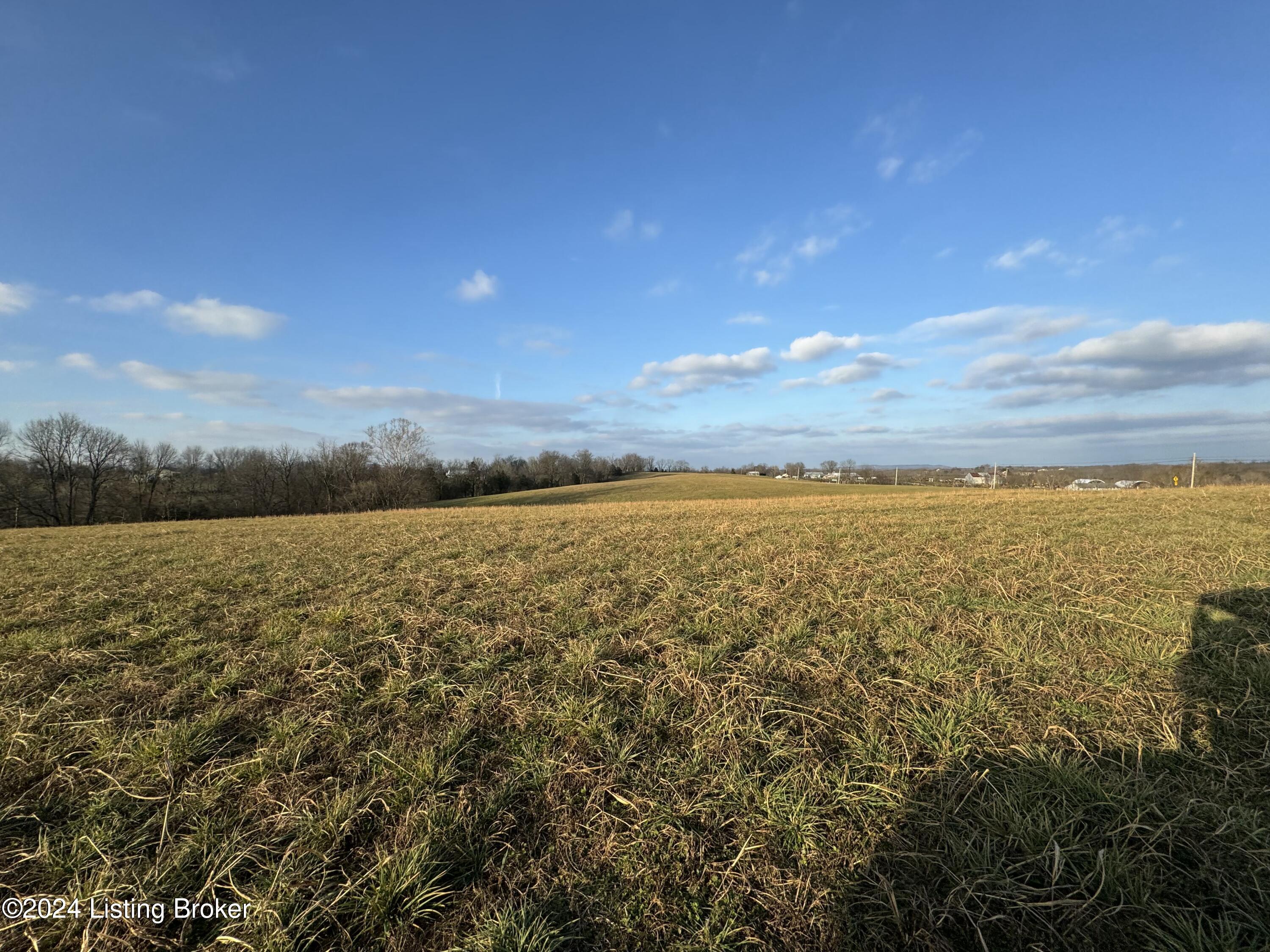 Lot 3 Mt Eden Road Waddy, KY 40076 - Photo 12 of 16 tempImageVhBAf3