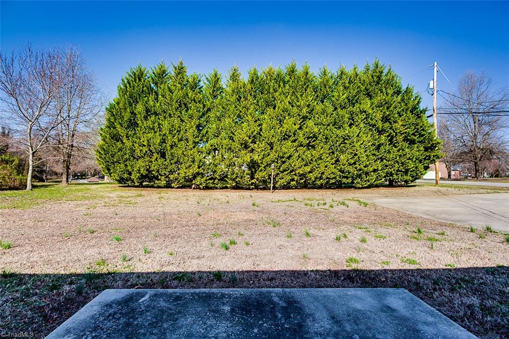 600 Trindale Road Trinity, NC 27370 - Photo 7 of 21 Beautiful Landscaped Back Yard Offers Tons Of Privacy!