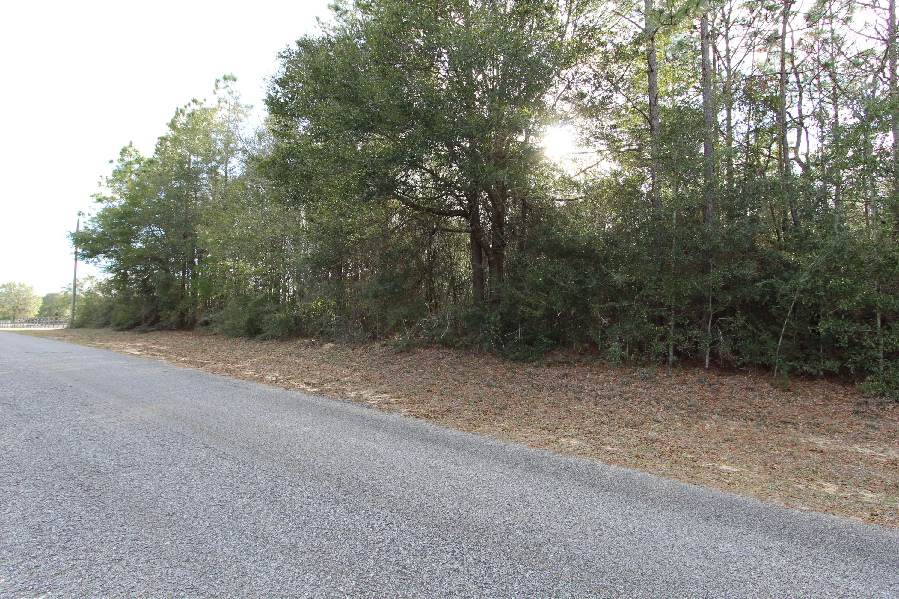 0 Donald Guy Road Crestview, FL 32539 - Photo 3 of 6 a view of a forest with trees in the background