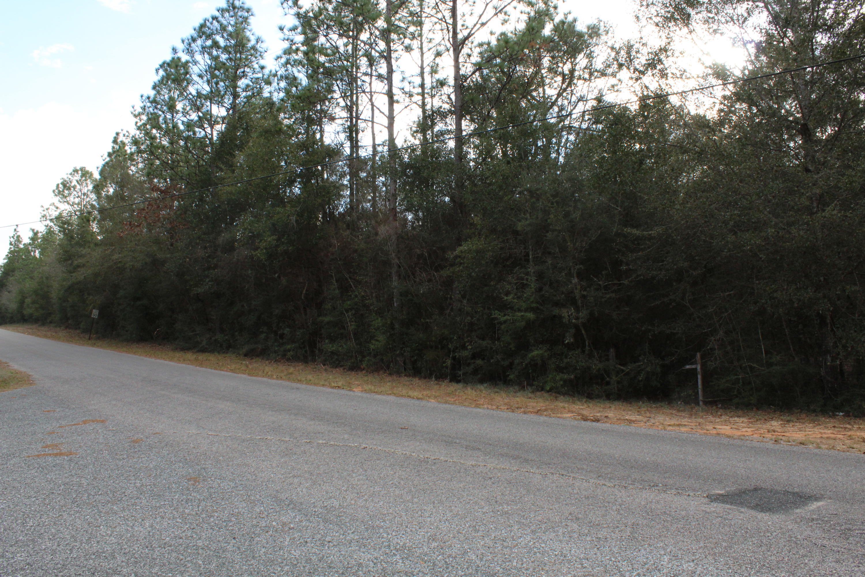 0 Donald Guy Road Crestview, FL 32539 - Photo 4 of 6 a view of basketball court