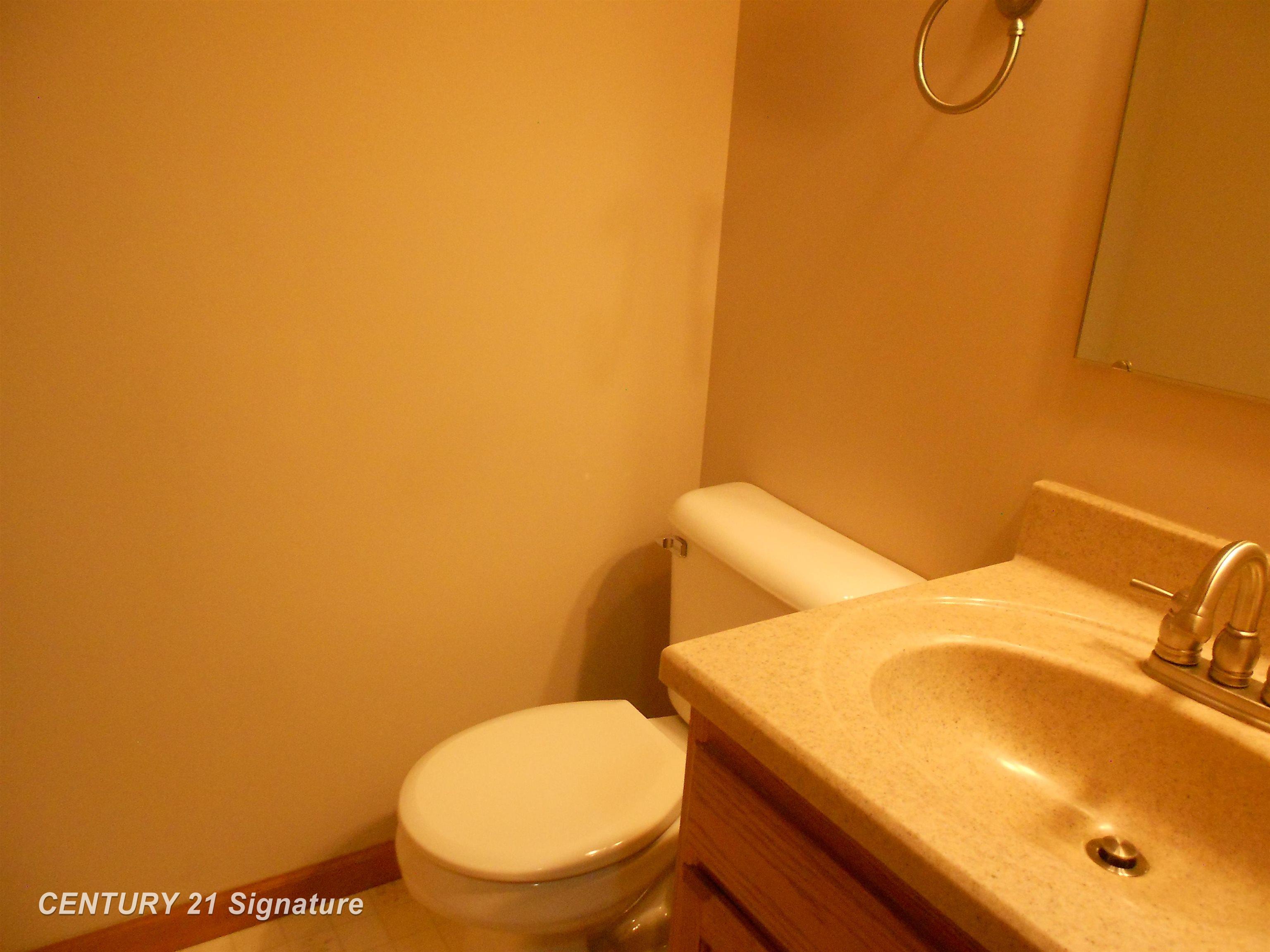 4325 Lone Road Freeland, MI 48623 - Photo 17 of 36