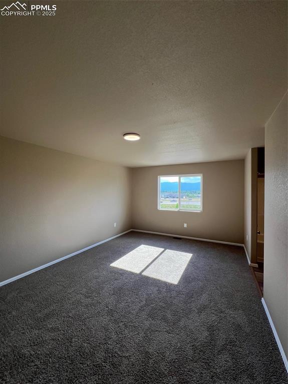 1729 Sandtoft Heights Colorado Springs, CO 80951 - Photo 21 of 31