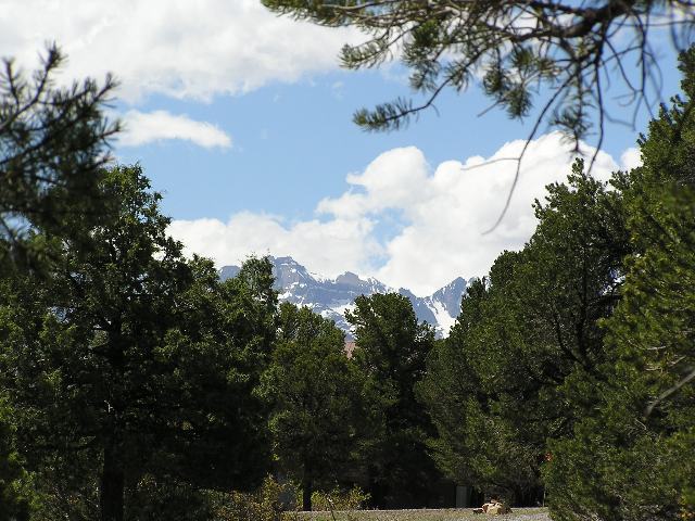 Tbd Oak Road Ridgway, CO 81432 - Photo 3 of 6 Additional Photo