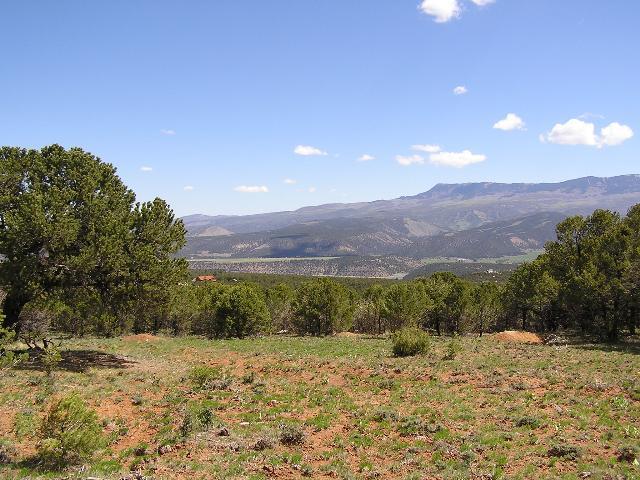 Tbd Oak Road Ridgway, CO 81432 - Photo 5 of 6 Additional Photo
