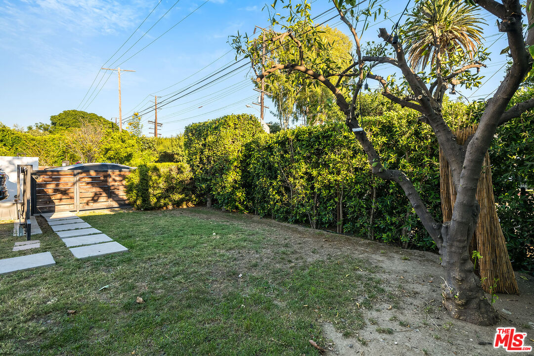 1591 Yosemite Drive Los Angeles, CA 90041 - Photo 5 of 16 a view of a yard