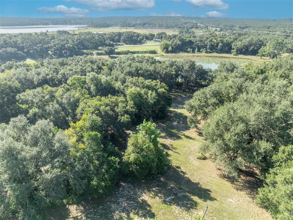 19048 Causey Road Clermont, FL 34715 - Photo 27 of 36 a view of a yard with an outdoor and trees