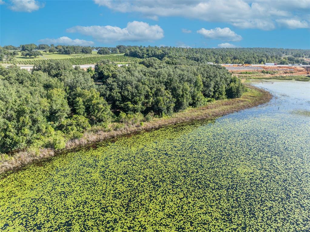 19048 Causey Road Clermont, FL 34715 - Photo 30 of 36 a view of a lake with a city