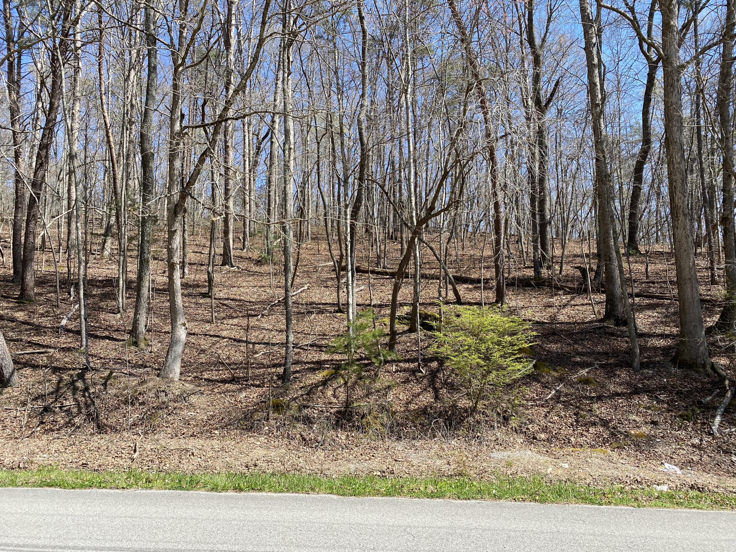 Manor Road Kingston, TN 37763 - Photo 2 of 2 Manor Dr Lot 4
